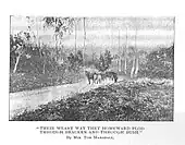 'Their Weary Way they Homeward Plod Through Bracken and Through Bush' Hulda (Jorgensen) Marshall