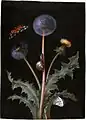 A Dandelion with a Tiger Moth, a Butterfly, a Snail, and a Beetle
