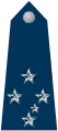 Marechal-do-ar(Brazilian Air Force)