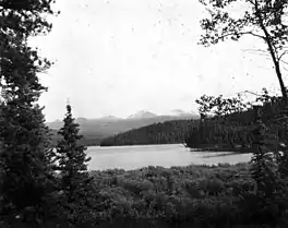 Black and white photo of a lake with a glaciated mountain in the background and a couple of trees in the foreground.