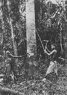 Image 8Vaγimba- "Those of the forest" in Proto–Southeast Barito, the reconstructed ancestor of the Southeast Barito languages, which includes the languages spoken by the Dayak peoples of the Barito River in Borneo. (from History of Madagascar)