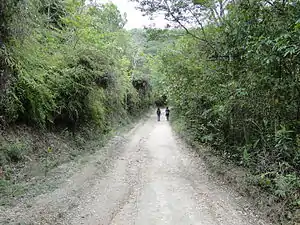 Road to Casca d'Anta