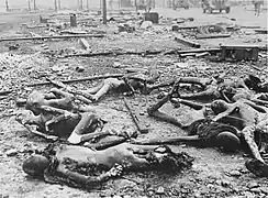 Charred corpses at Kaufering IV