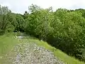 The reserve - looking down the trackbed