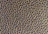 Close view of intersecting dunes, as seen by HiRISE under HiWish program  This image was named HiRISE picture of the day.