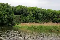 Łyna River in Stopki