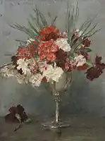 Carnations - a study