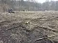 Deforestation with heavy machinery