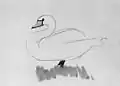Swan on the Grass, 1910  (black & white reproductions)