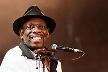 Peterson at Festival du Bout du Monde in 2016