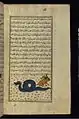The horned rabbit given by the inhabitants of Tannin Island to Alexander the Great, after he had slain the dragon living there: illustration from Walters manuscript W.659; 18th-century copy of a 13th-century text by Zakariya al-Qazwini