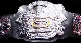A championship belt with a silver front plate