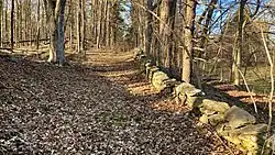 The stone wall that runs the length of the New Guinea Community Site's central Lane, Freedonia Lane, as seen in 2022.