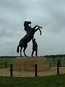 Newmarket Stallion, collaboration with Marcia Astor, Newmarket