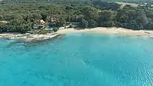 An aerial view of a beach in St Croix, showing a light blue ocean, sandy beach, and green trees
