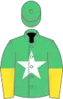 Emerald green, white star, yellow halved sleeves, emerald green cap