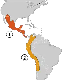 Two genetic pools of the domestication of P. vulgaris 1 – Mesoamerican area2 – Andean area