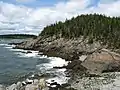 Like much of Maine, the coast at Quoddy Head is rocky