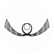An orbit of the swinging Atwood's machine for 
  
    
      
        μ
        =
        24
      
    
    {\displaystyle \mu =24}
  
, 
  
    
      
        
          θ
          
            0
          
        
        =
        
          
            π
            2
          
        
      
    
    {\displaystyle \theta _{0}={\frac {\pi }{2}}}
  
, and zero initial velocity.