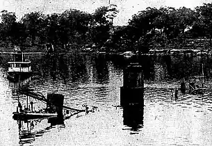 Kaludah on the  mud flats at Tarban Creek