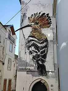 Hoopoe, Santarém, Portugal