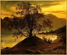 Old Birch Tree at the Sognefjord