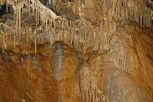 Image 17Stalactites and flowstone (from Treak Cliff Cavern)