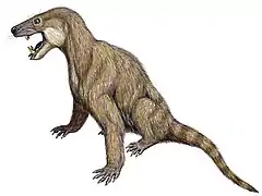 Life restoration