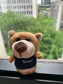 UC Berkeley Extension merchandise: Miniature Oski bear.