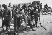 The cannons captured by the Armenians
