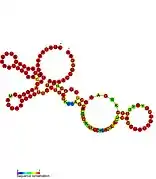 ZEB2_AS1_1: Secondary structure taken from the Rfam database. Family RF01984